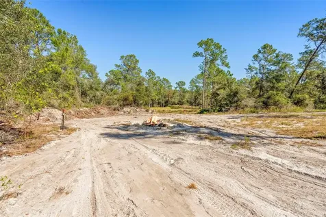 Deep Woods Road Paisley FL 32767