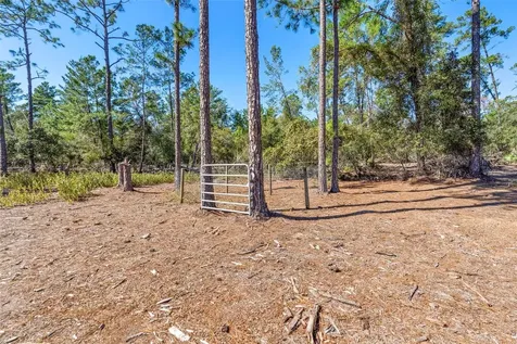 Deep Woods Road Paisley FL 32767