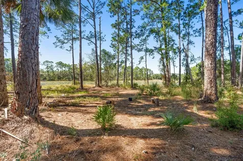 Deep Woods Road Paisley FL 32767