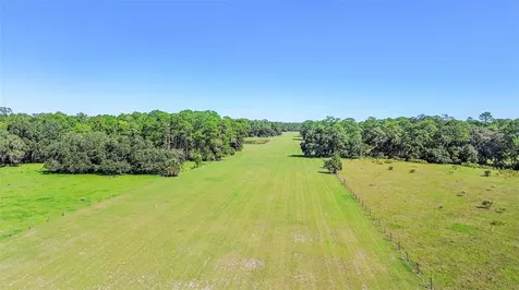Deep Woods Road Paisley FL 32767