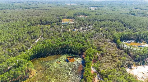 Deep Woods Road Paisley FL 32767