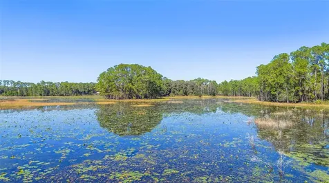Deep Woods Road Paisley FL 32767