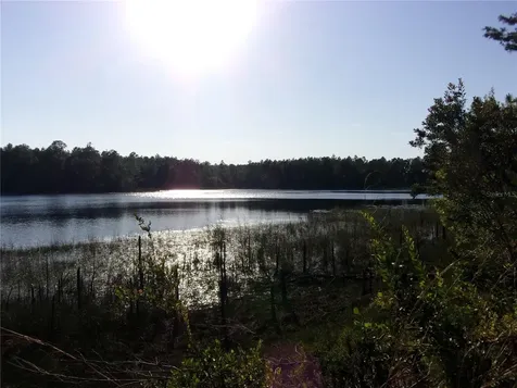 Deep Woods Road Paisley FL 32767