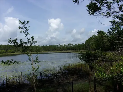 Deep Woods Road Paisley FL 32767