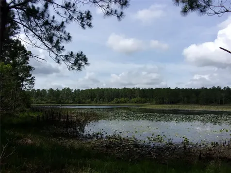 Deep Woods Road Paisley FL 32767