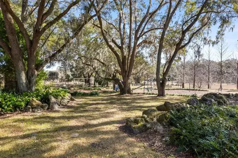 6557 SW 74th Drive Gainesville FL 32608