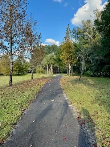 6557 SW 74th Drive Gainesville FL 32608