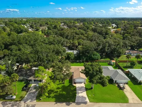 3311 Needle Palm Drive Edgewater FL 32141