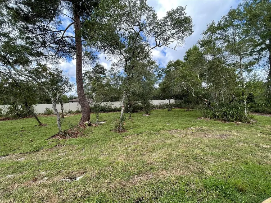 41719 Aspen Drive Eustis FL 32736
