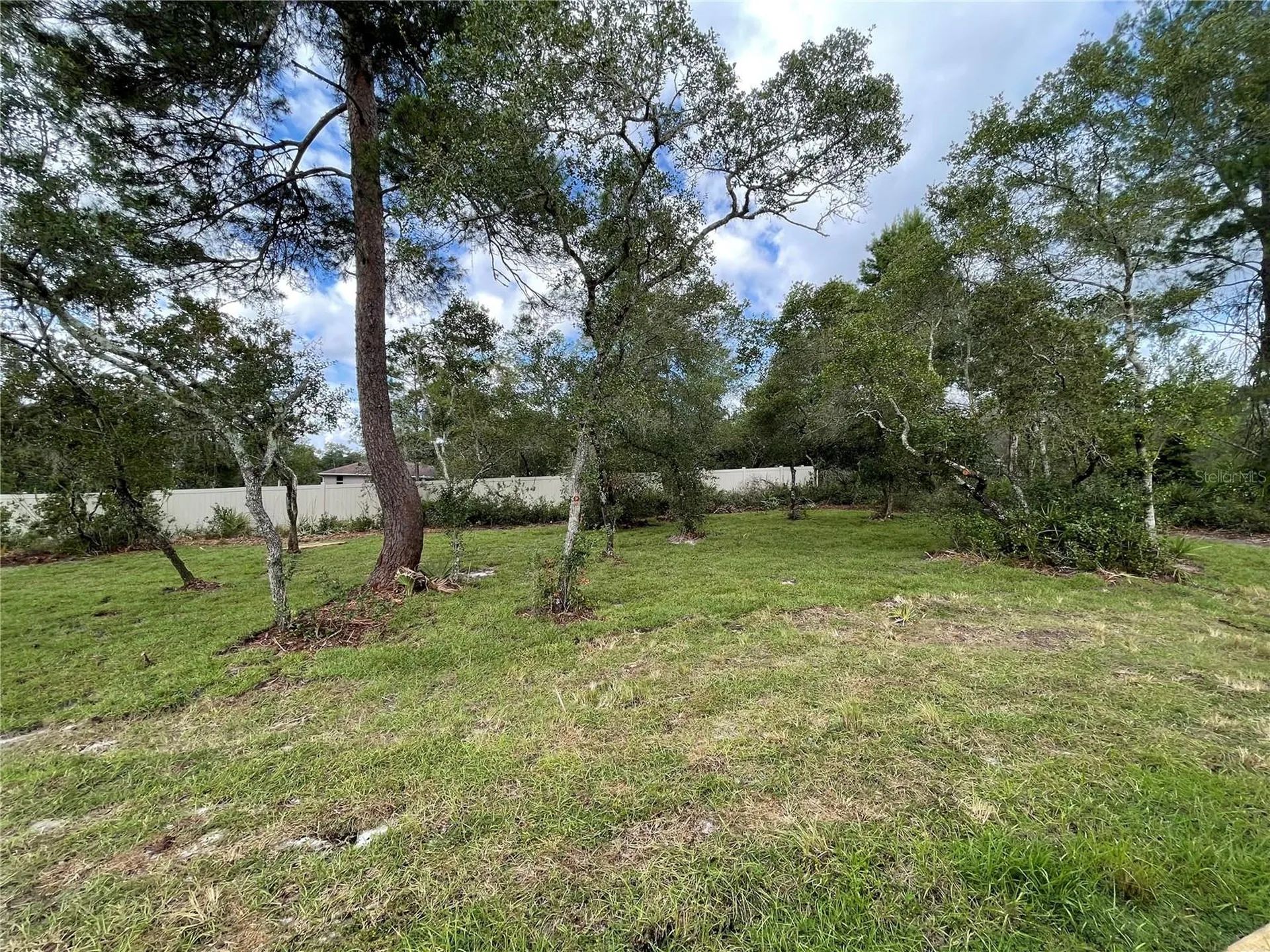 41719 Aspen Drive Eustis FL 32736