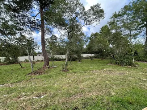 41719 Aspen Drive Eustis FL 32736