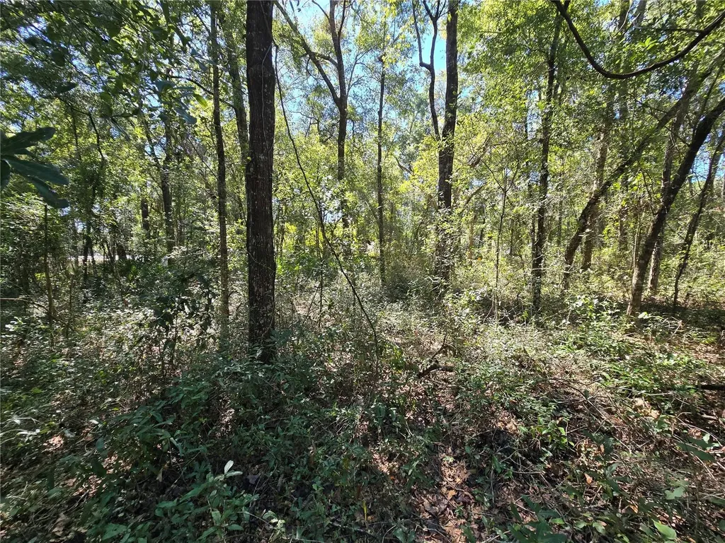 Lot 11 NW 16th Place Ocala FL 34482