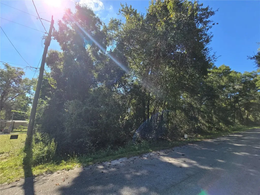 Lot 11 NW 16th Place Ocala FL 34482