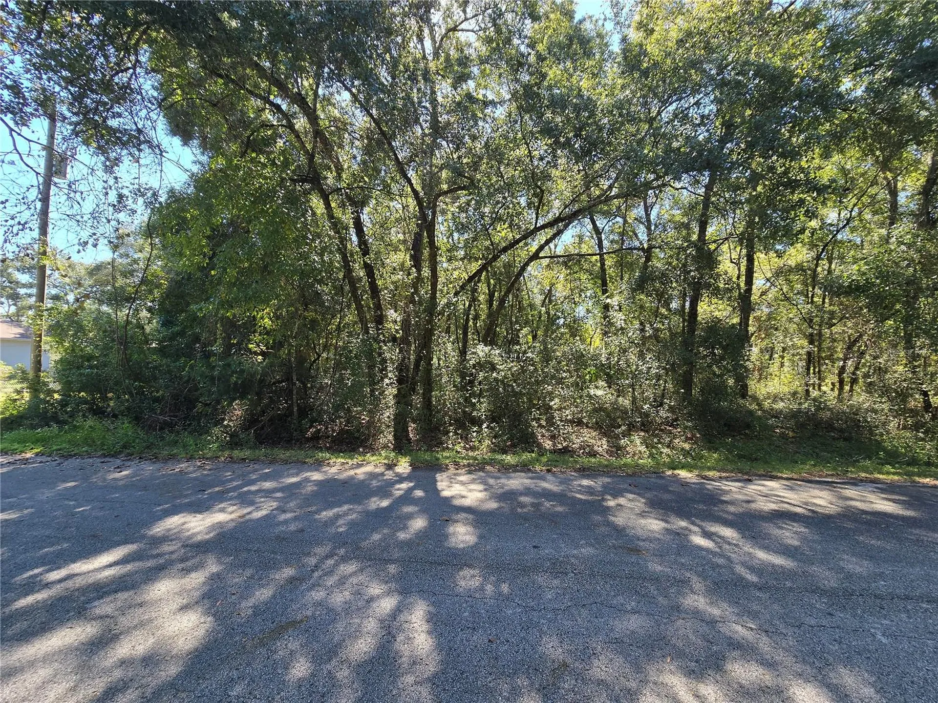Lot 11 NW 16th Place Ocala FL 34482