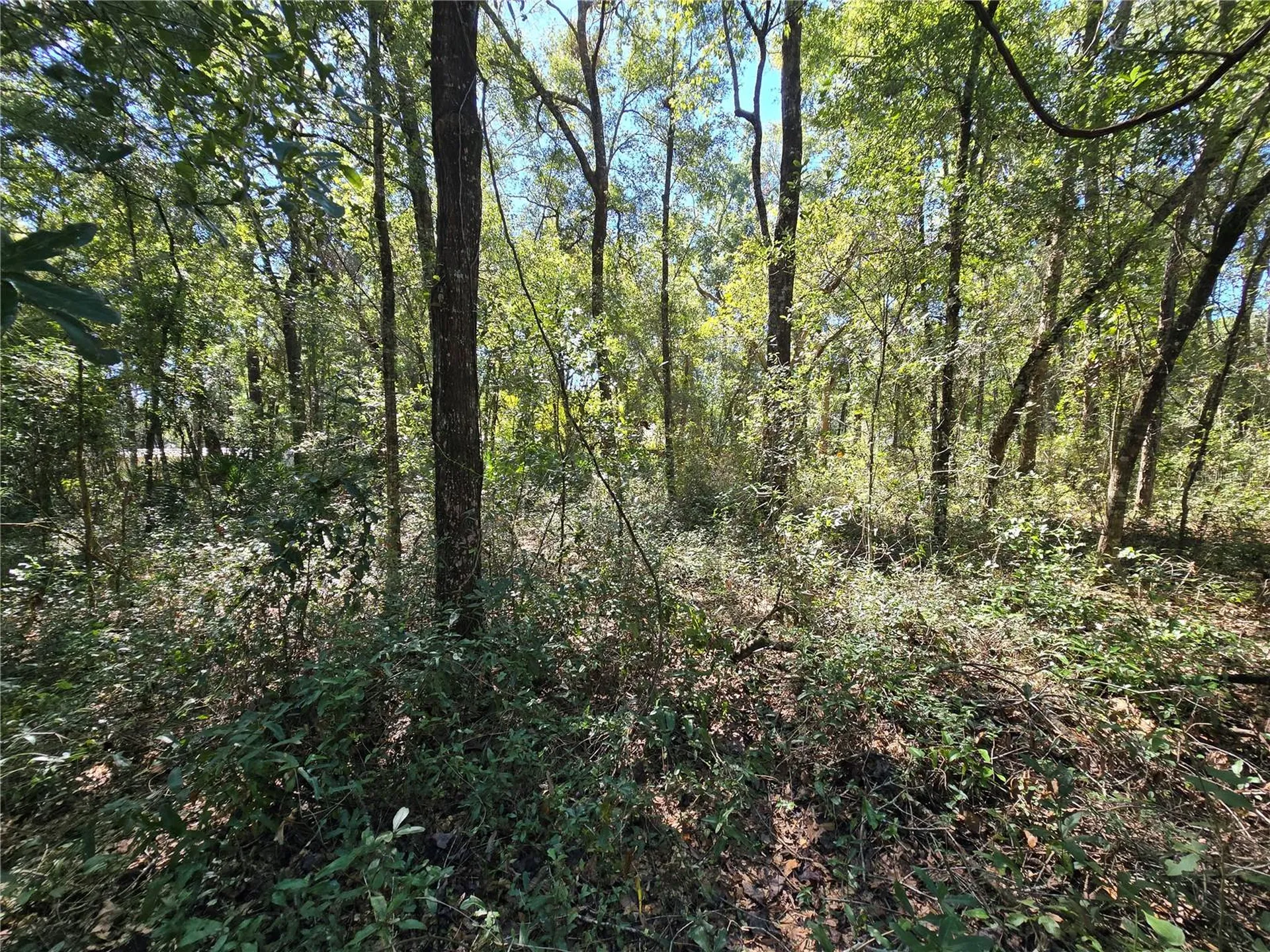 Lot 11 NW 16th Place Ocala FL 34482