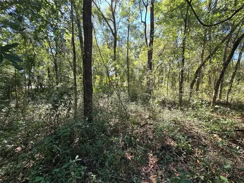 Lot 11 NW 16th Place Ocala FL 34482
