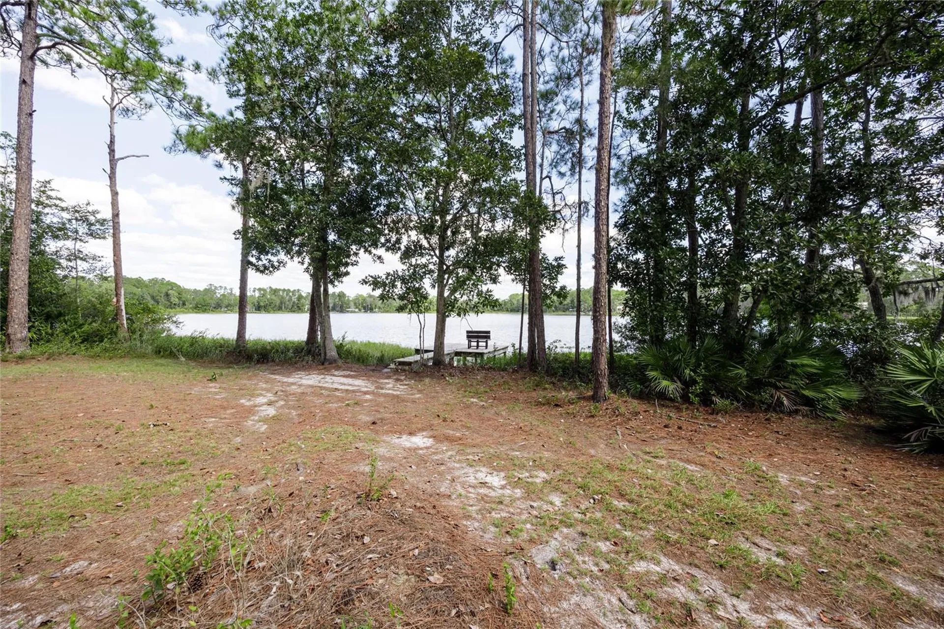 239 Riley Lake Drive Hawthorne FL 32640