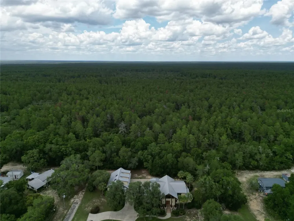 15225 NE 246th Avenue Salt Springs FL 32134