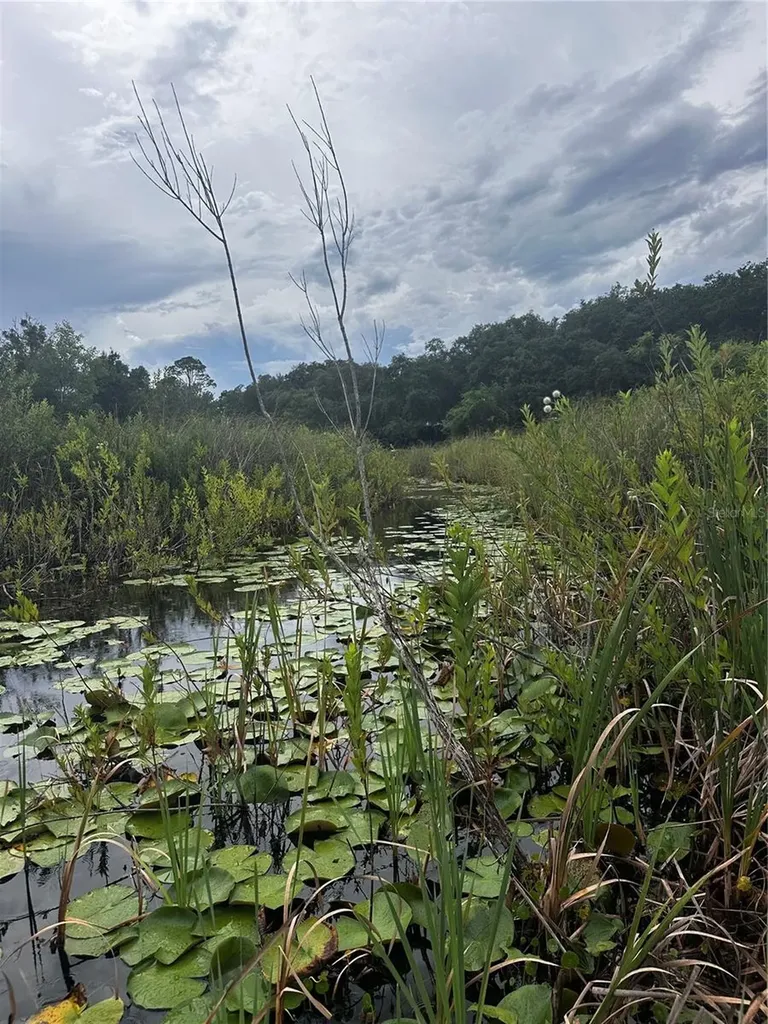15080 NE 242nd Avenue Salt Springs FL 32134