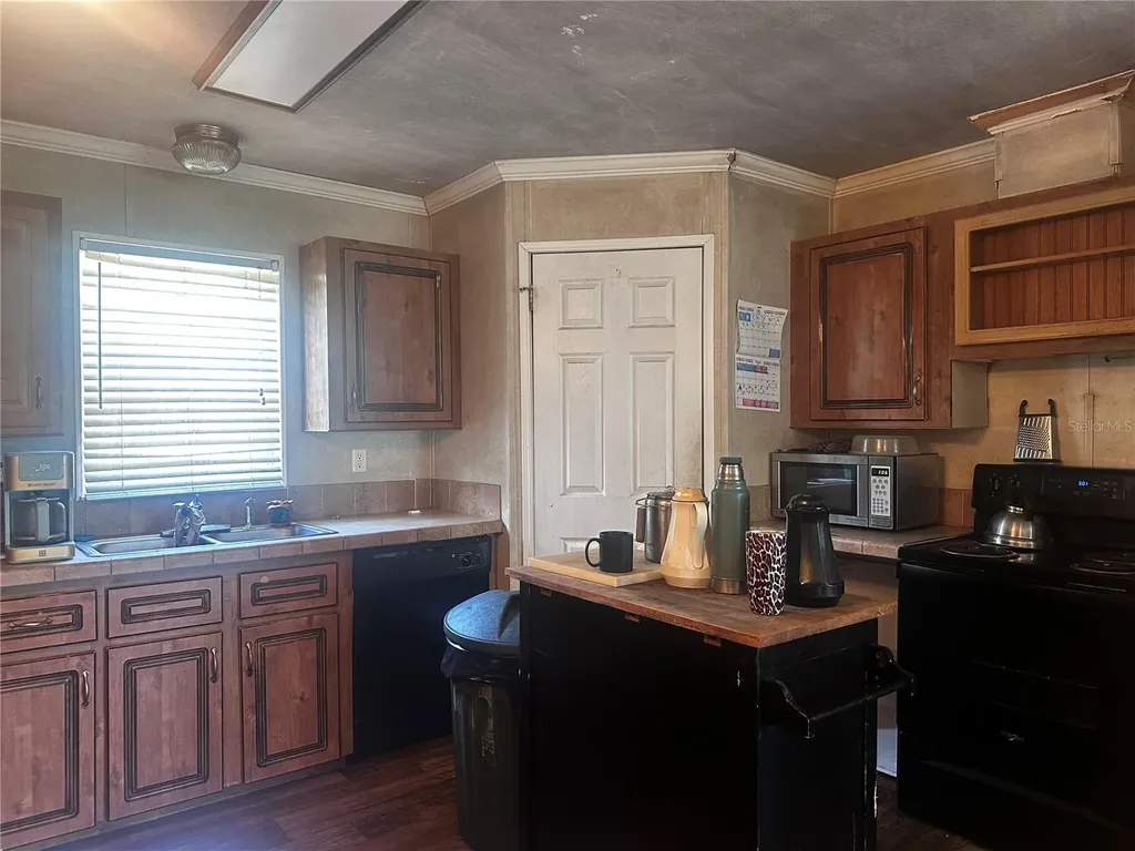 15080 NE 242nd Avenue Salt Springs FL 32134