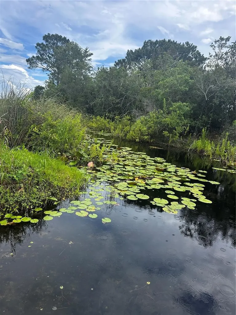 15080 NE 242nd Avenue Salt Springs FL 32134