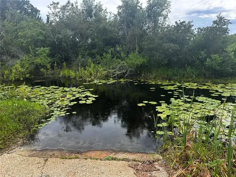 15080 NE 242nd Avenue Salt Springs FL 32134