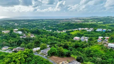Bo. Buena Vista Humacao PR 00791