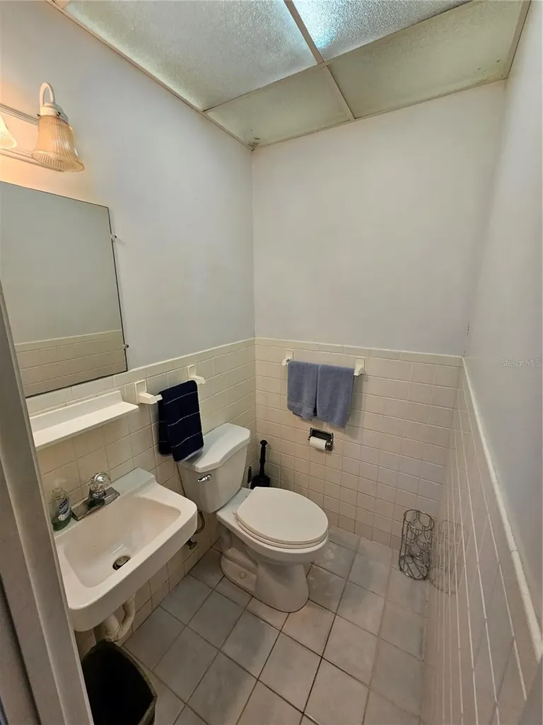 15 Wilderness Drive Lake Panasoffkee FL 33538