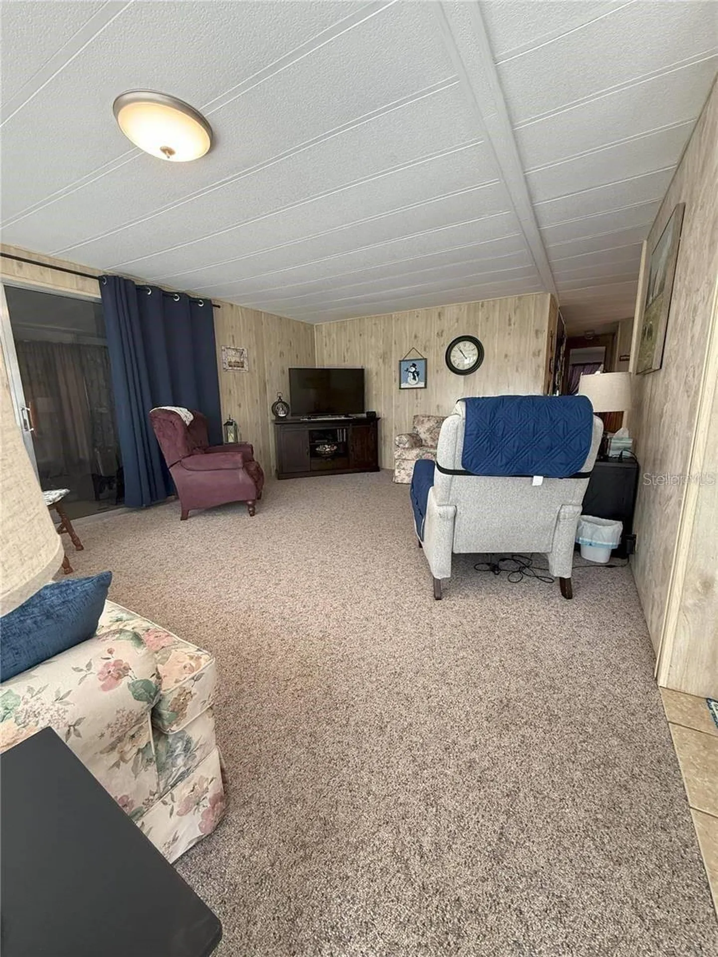 15 Wilderness Drive Lake Panasoffkee FL 33538