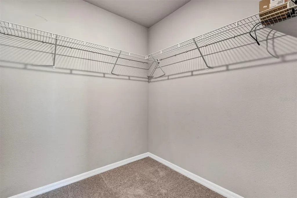 1073 Desert Candle Drive Ocoee FL 34761