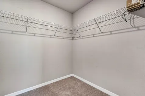 1073 Desert Candle Drive Ocoee FL 34761