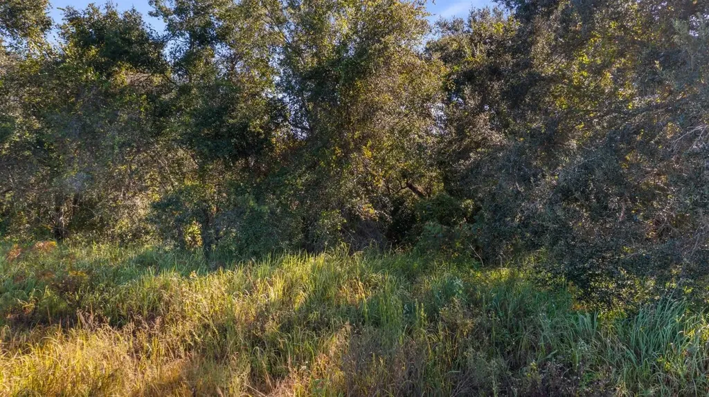 Us Highway 27 Leesburg FL 34748