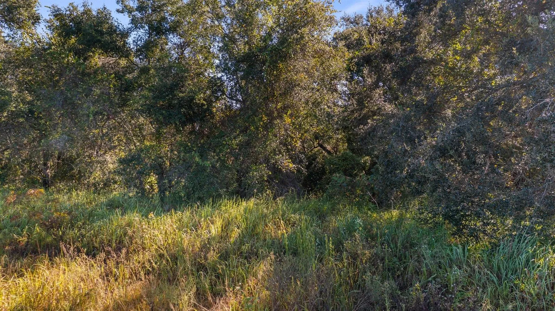 Us Highway 27 Leesburg FL 34748