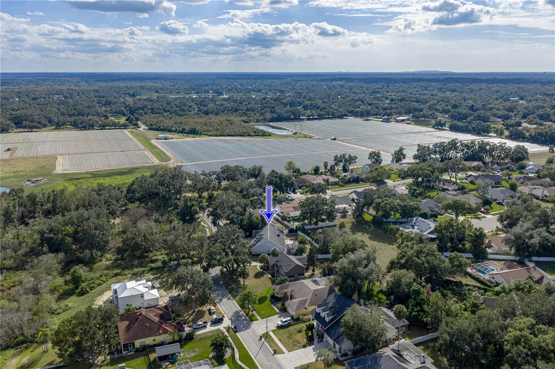 504 Covington Park Street Seffner FL 33584