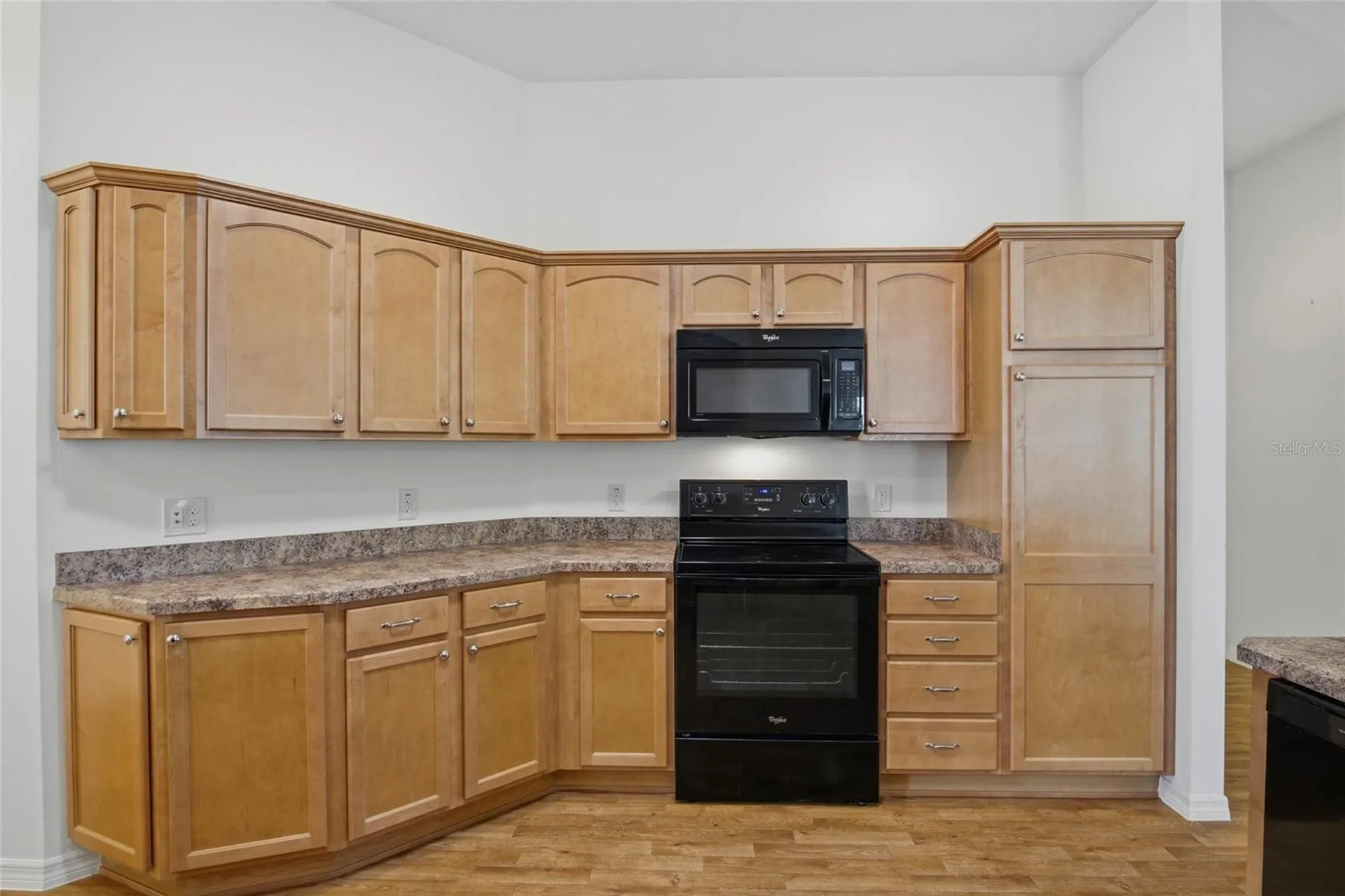 1923 Useppa Oaks Lane The Villages FL 32163