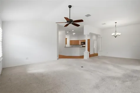 1923 Useppa Oaks Lane The Villages FL 32163