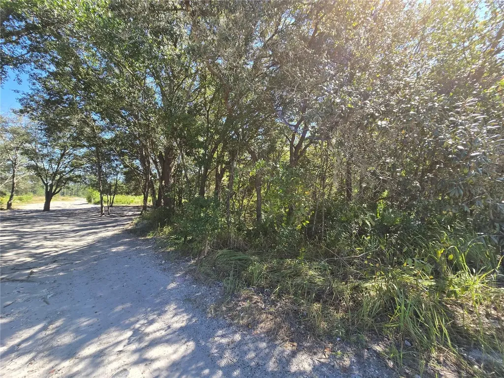 SW 150th Street Dunnellon FL 34432