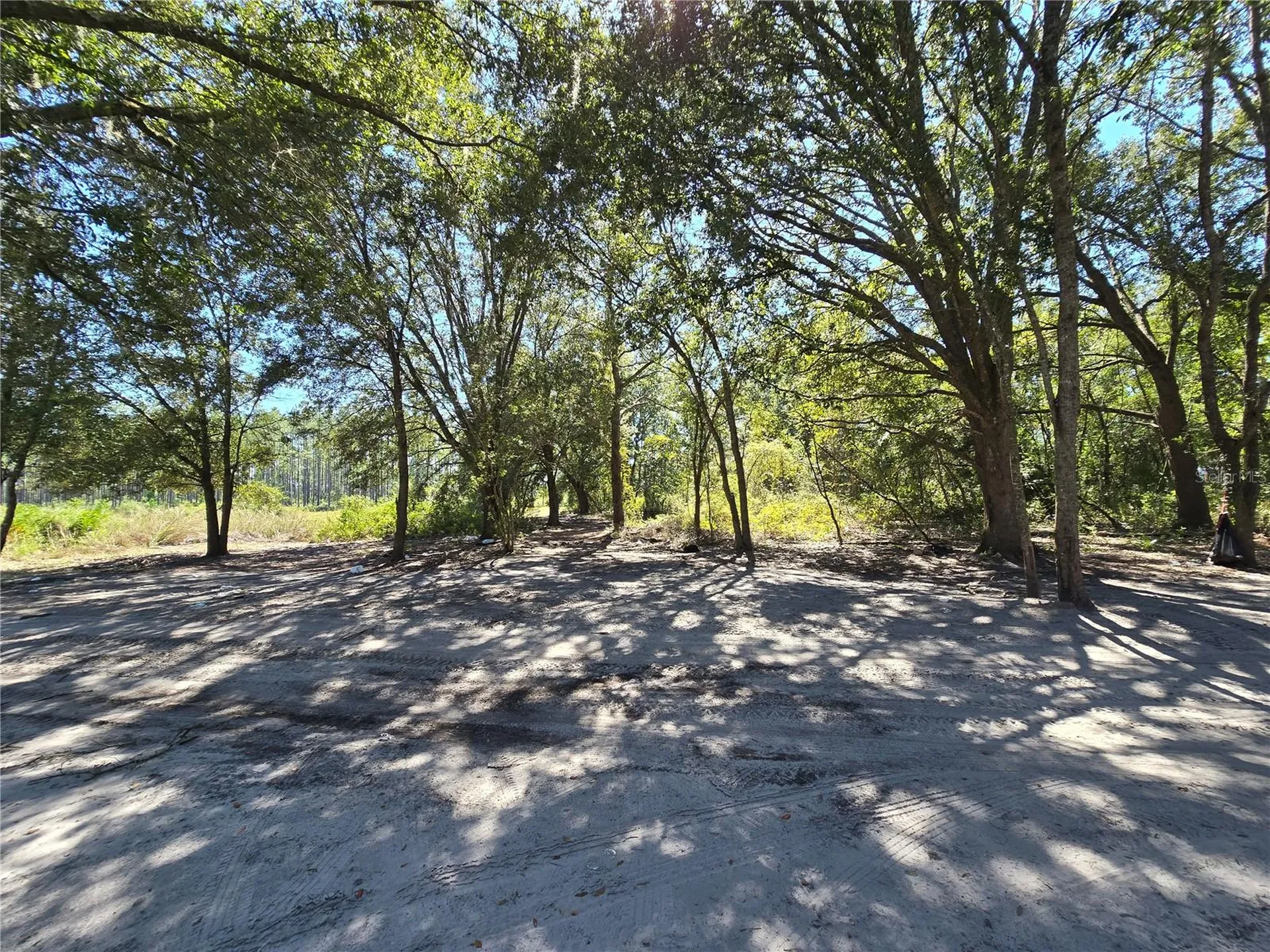 SW 150th Street Dunnellon FL 34432