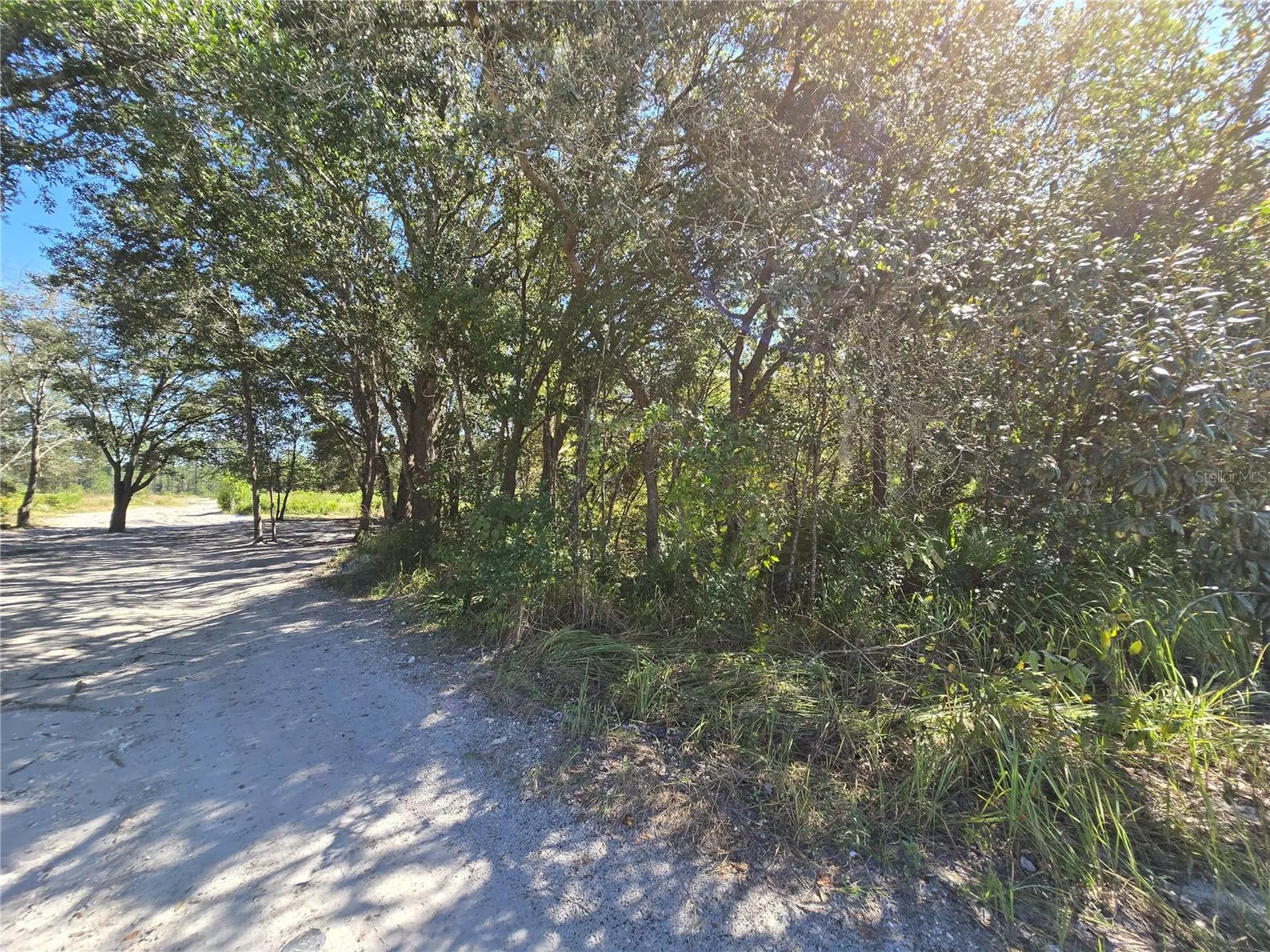 SW 150th Street Dunnellon FL 34432