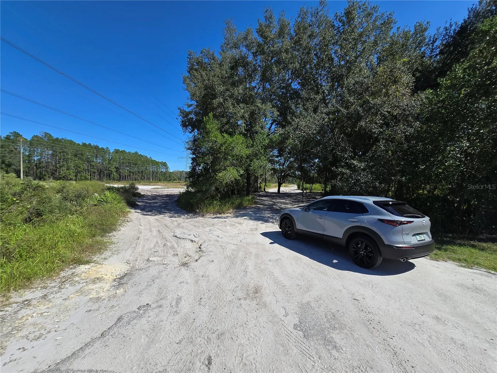 SW 150th Street Dunnellon FL 34432