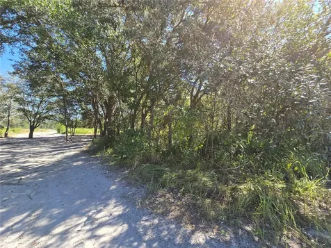 SW 150th Street Dunnellon FL 34432