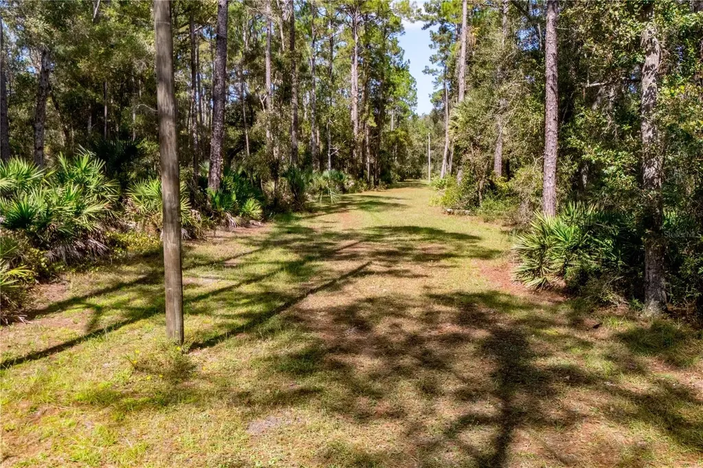 6550 SW 100th Court Cedar Key FL 32625
