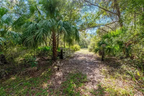 6550 SW 100th Court Cedar Key FL 32625