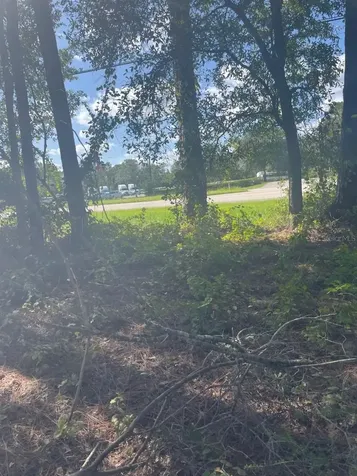 2406 E International Speedway Boulevard Deland FL 32724