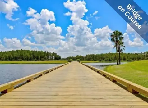 1520 Canberley Court Trinity FL 34655