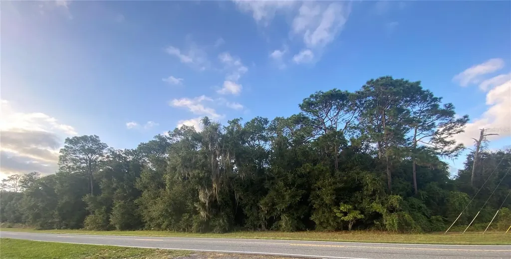 0 County Road 466 Oxford FL 34484