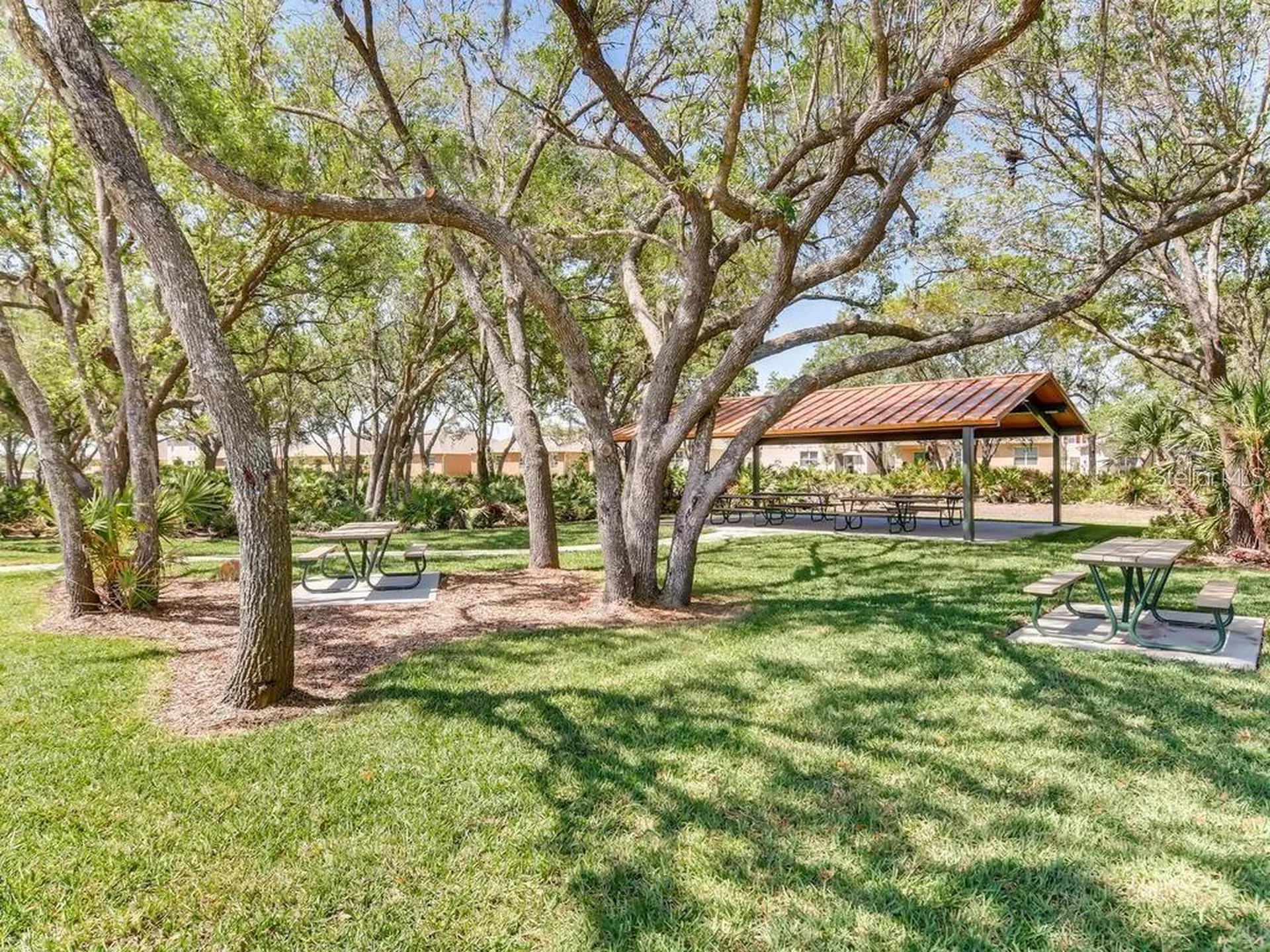 1882 Red Canyon Drive Kissimmee FL 34744
