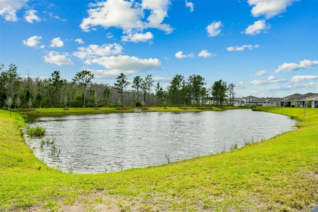10050 Brown Burrow Street Orlando FL 32829