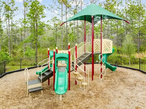 10050 Brown Burrow Street Orlando FL 32829