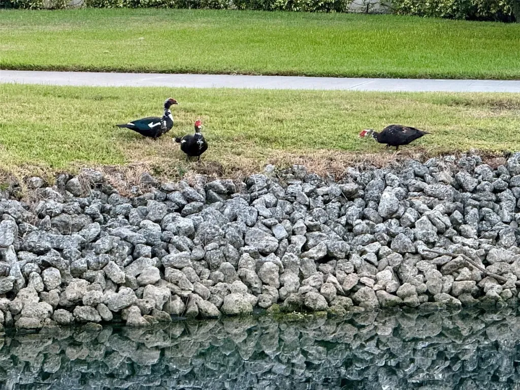 4683 Winston Lane N Sarasota FL 34235